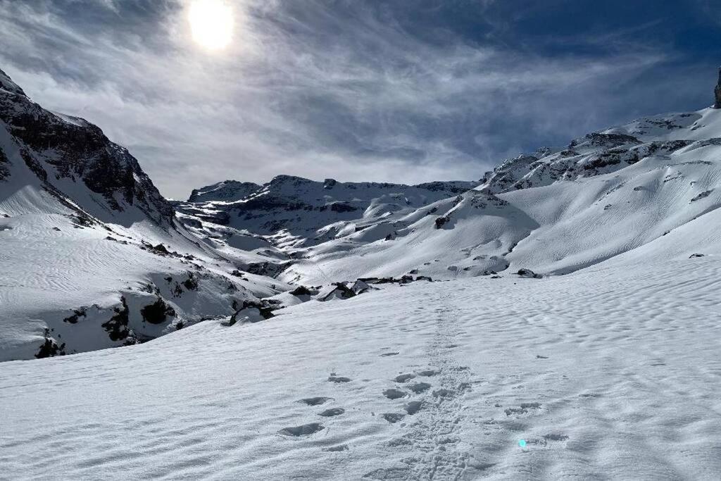 Studio Cabine Piau-Engaly Au Pied Des Pistes อาร์กานูว์เอต์ ภายนอก รูปภาพ